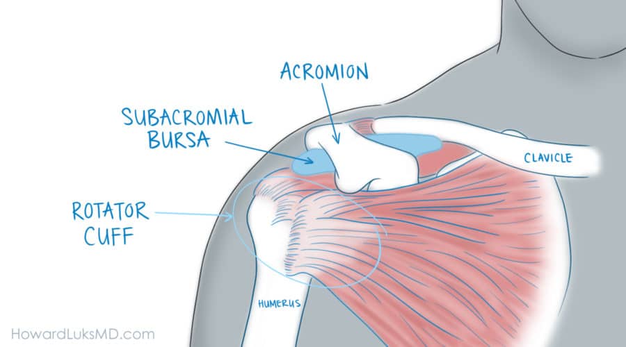 shoulder problems rotator cuff